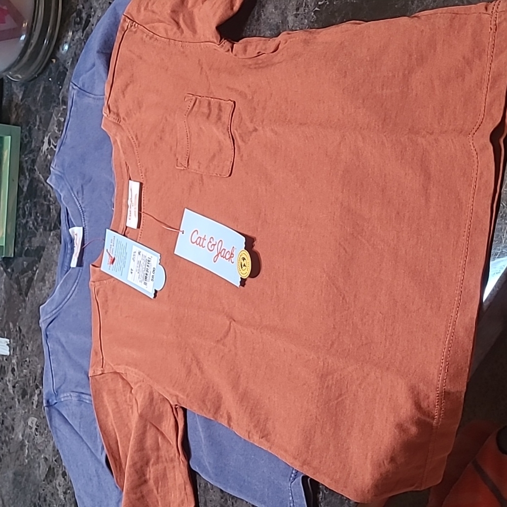 New with tags! Cat & Jack Set of 2 boys 4T long sleeve shirts